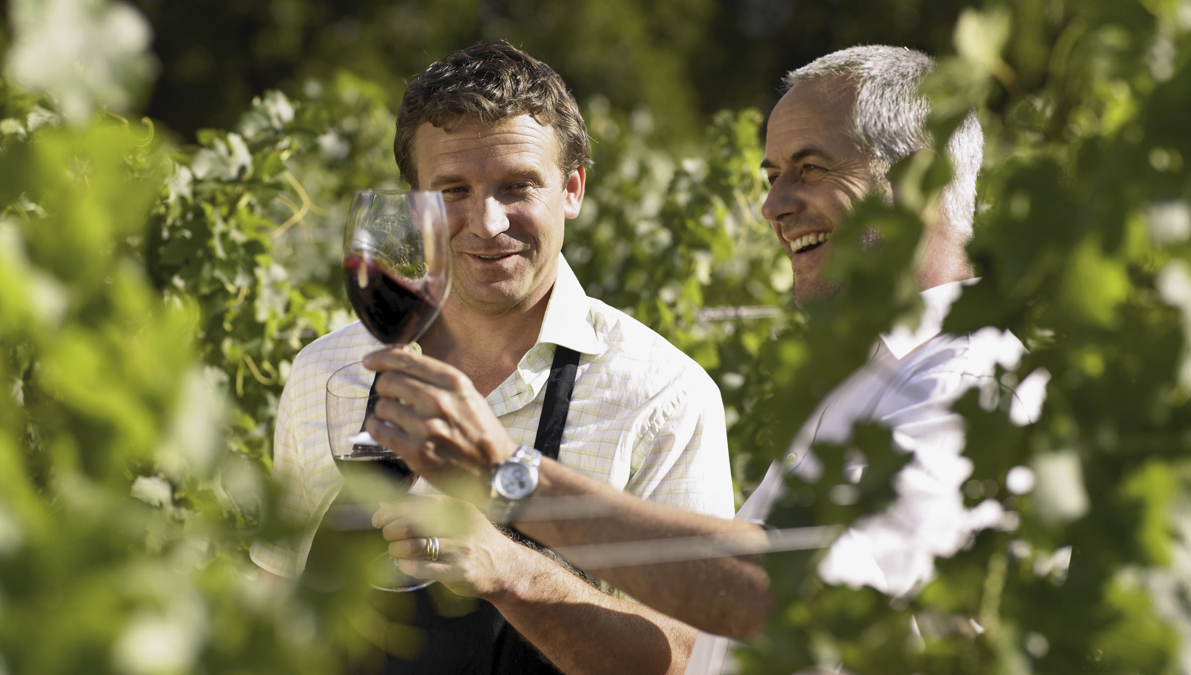 Two men on Wine Tour in a Bordeaux Vineyard