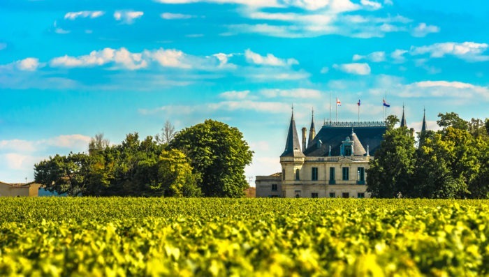 vineyards and castle in Bordeaux