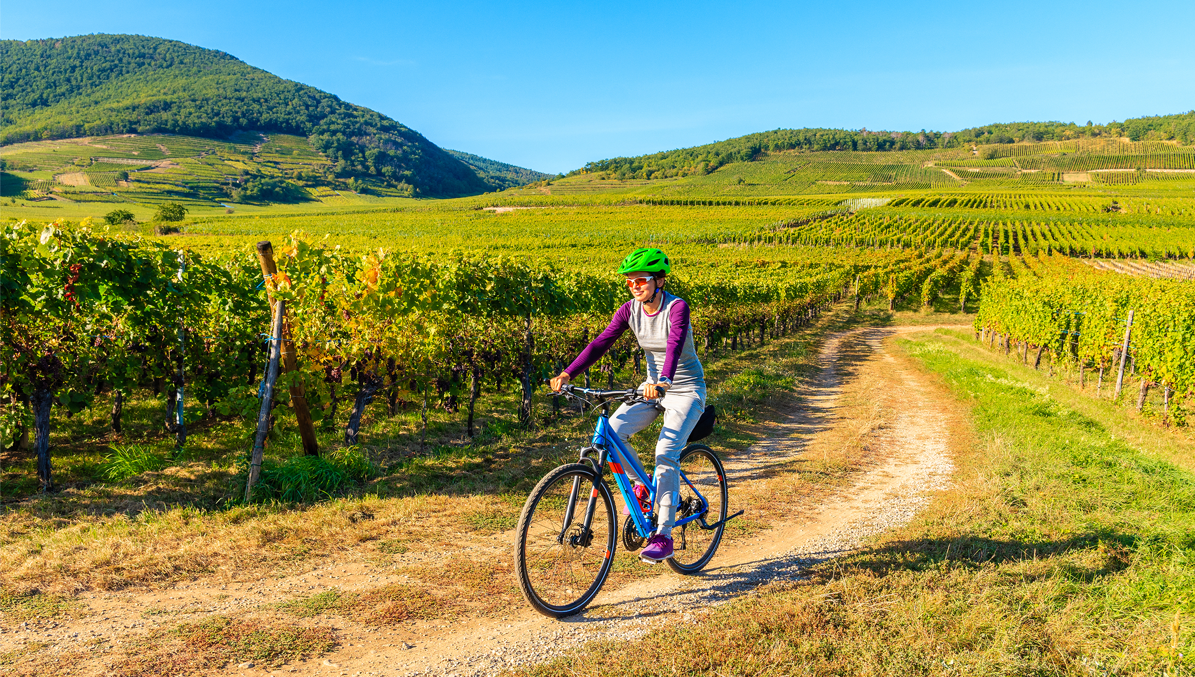 Young woman cycling on road along vineyards, France