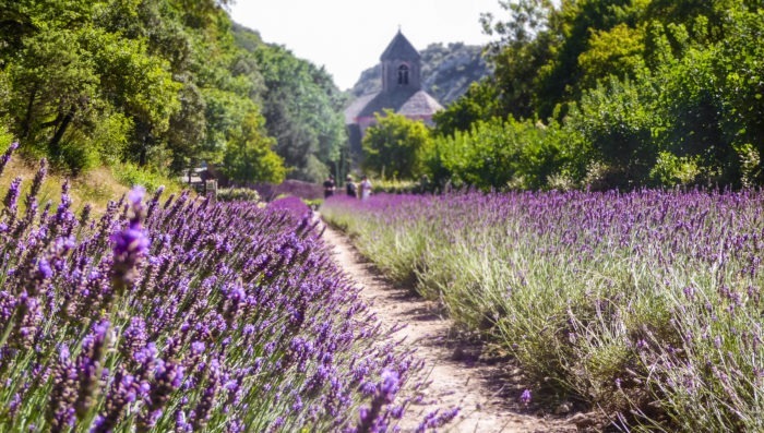 luberon mountains villages senanque abbey near gordes