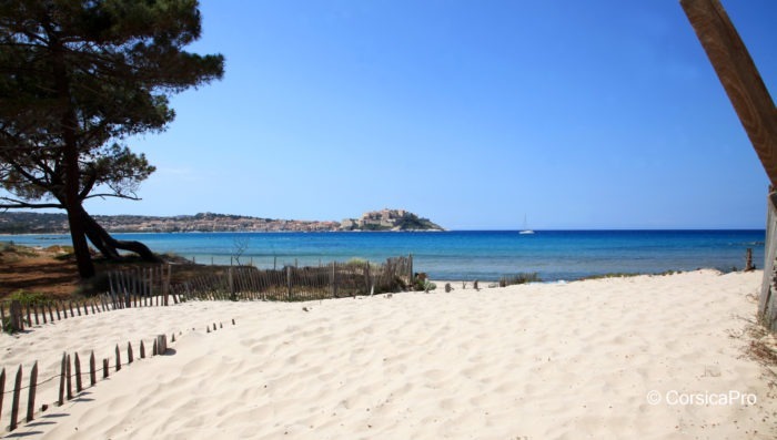 Calvi beach in Corsica, France