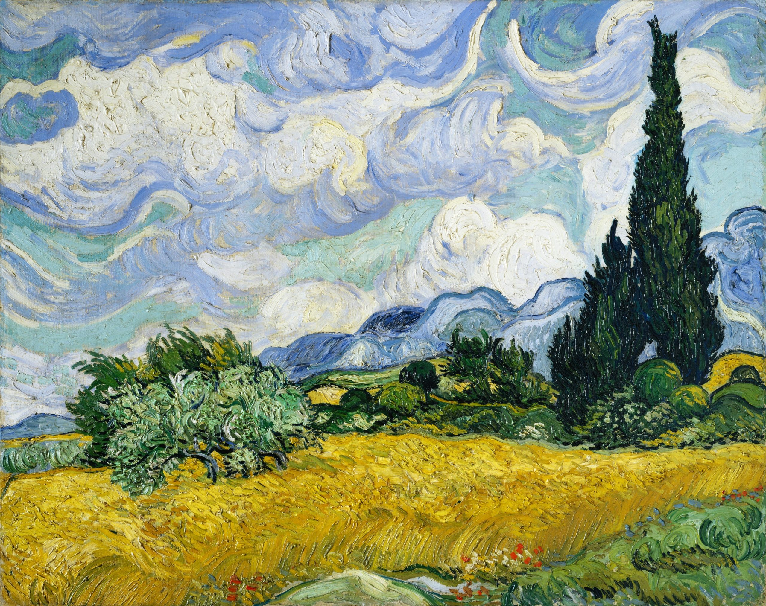 Les alpilles van store gogh