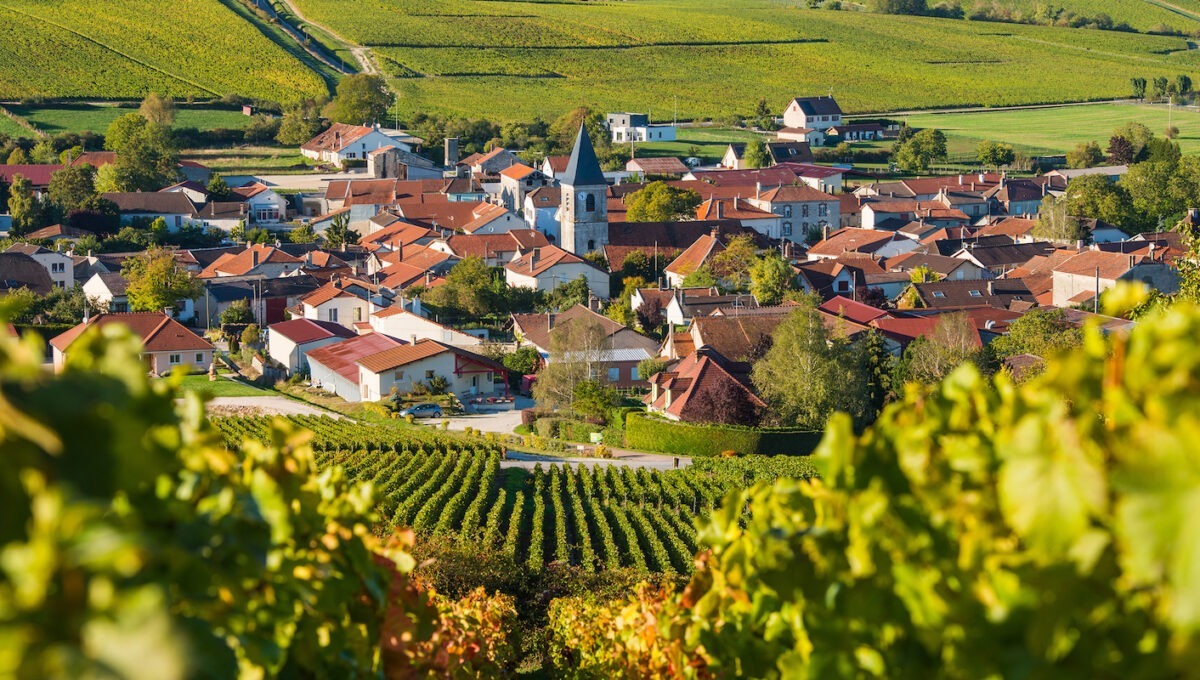 what to do in champagne in 2022