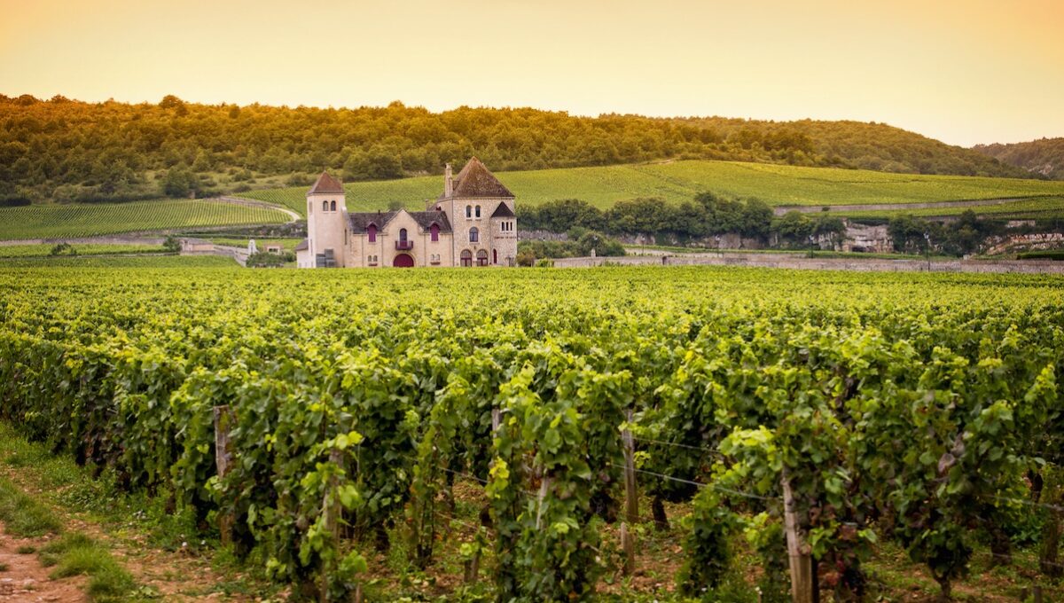 the best of burgundy