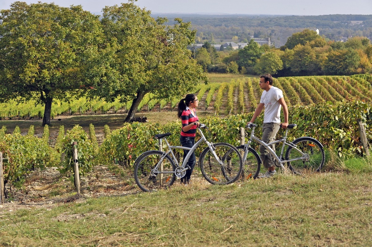 loire valley cycling wine and biking