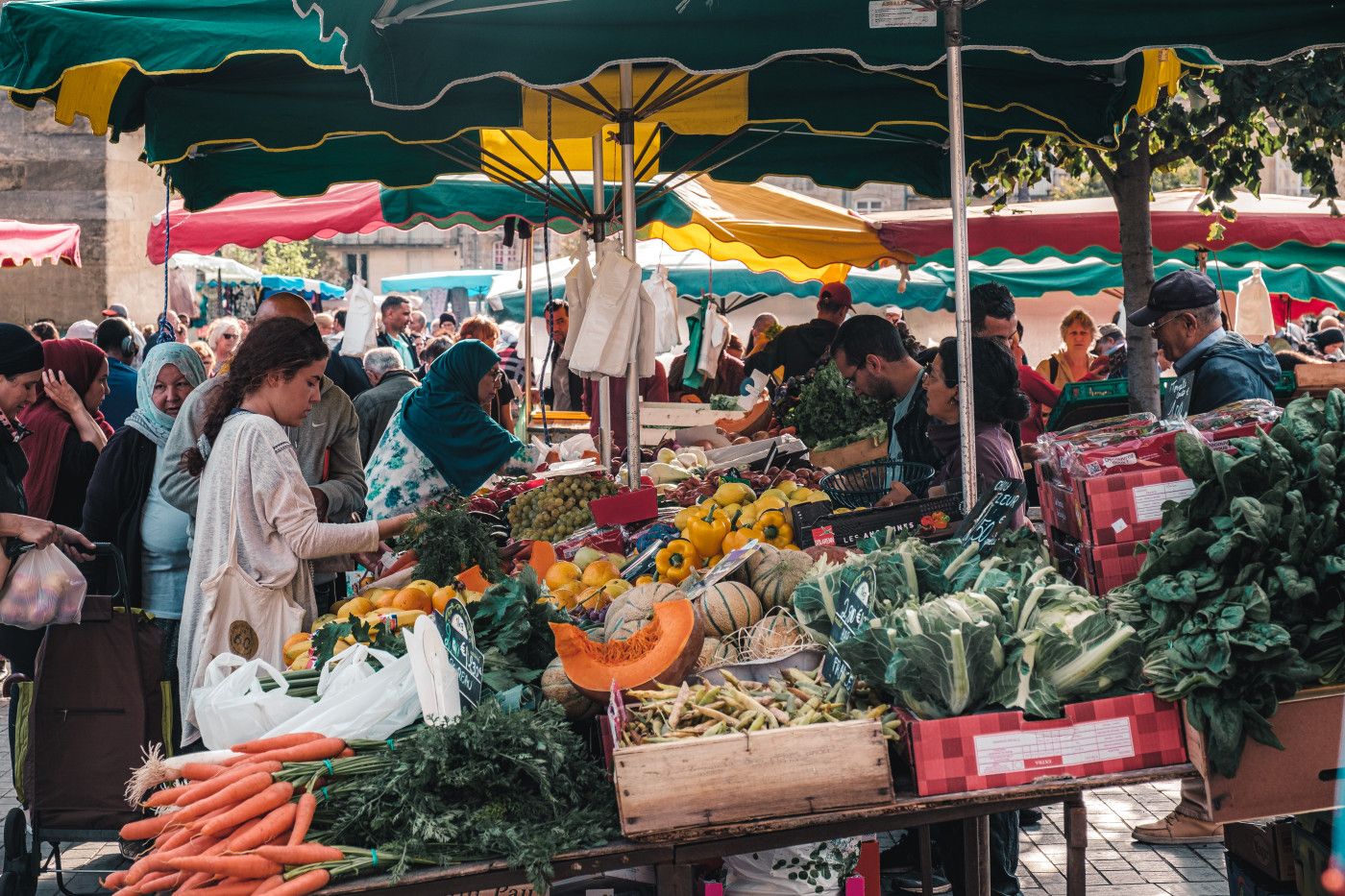 the ultimate market experiences in france bordeaux