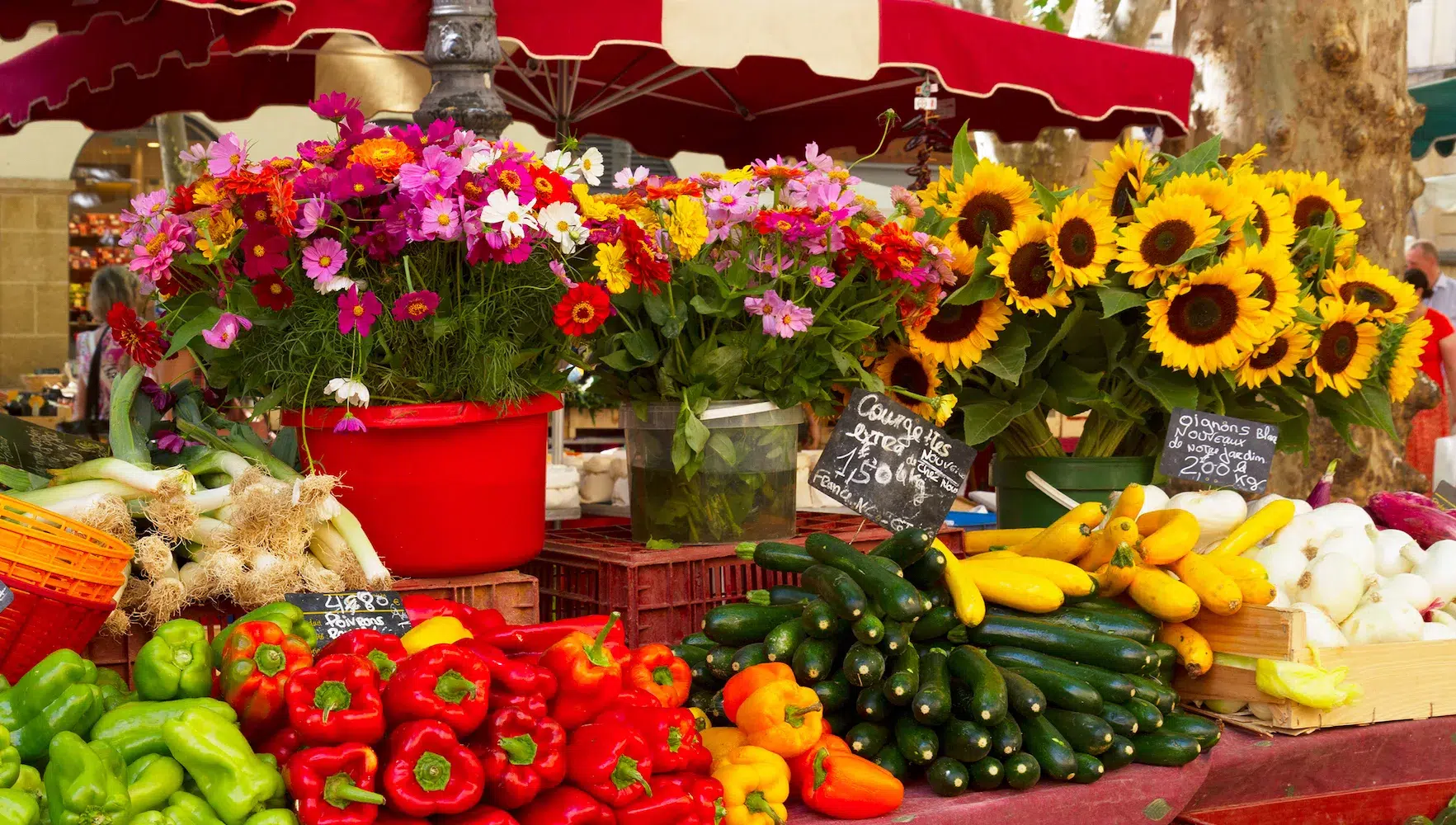 vallee de la gastronomie provence