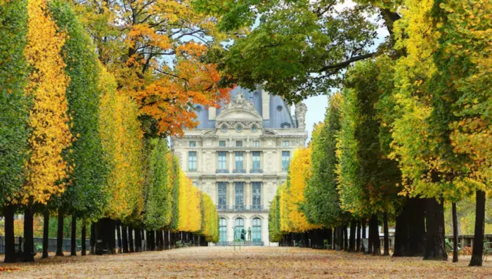 the best exhibits to see this fall in paris
