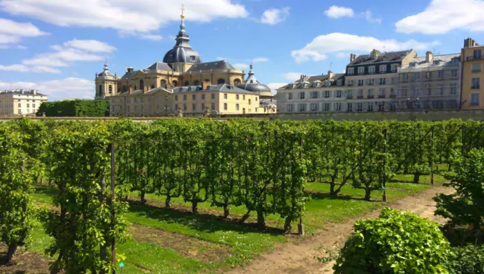 vegetable garden of the king Versailles | Versailles | French Side Travel | France Trip | Paris Trip | Luxurious Trip | Customize Trip
