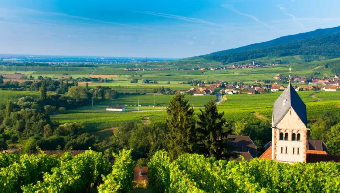 Alsace Wine Route | French Side Travel