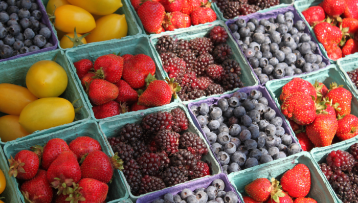 Bordeaux food market