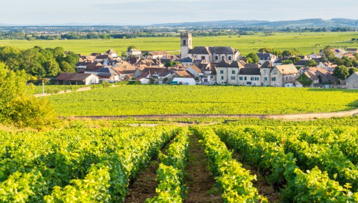 Côte de Beaune
